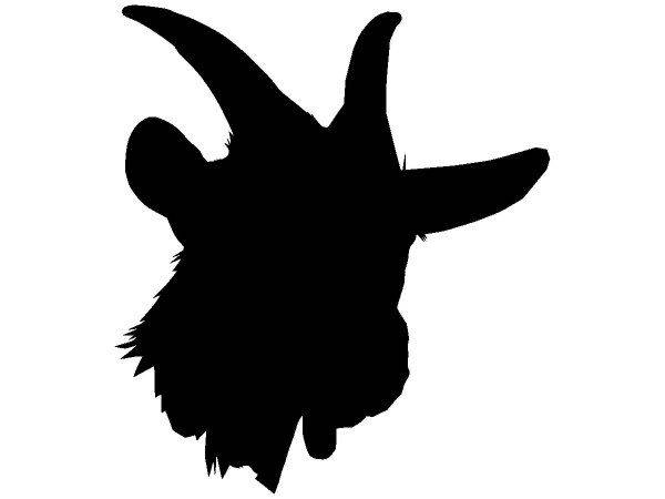 Животные 3419 Животные 3419