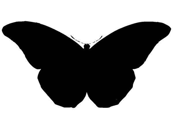 Животные 1385