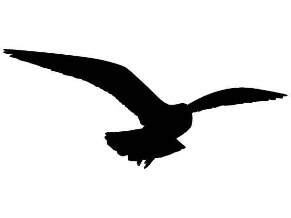 Животные 1159