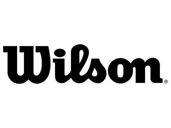 Wilsin logo