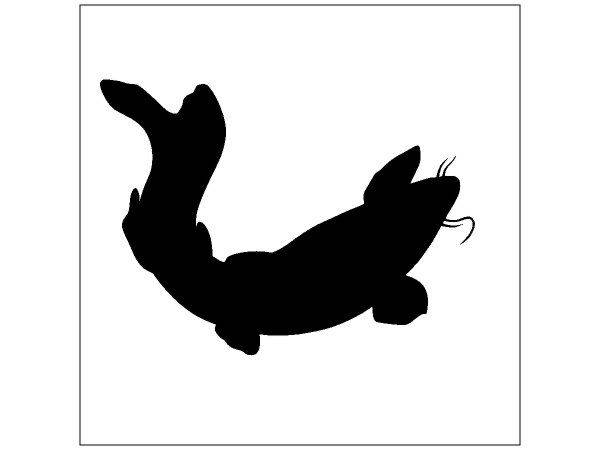 Животные 2111 Животные 2111