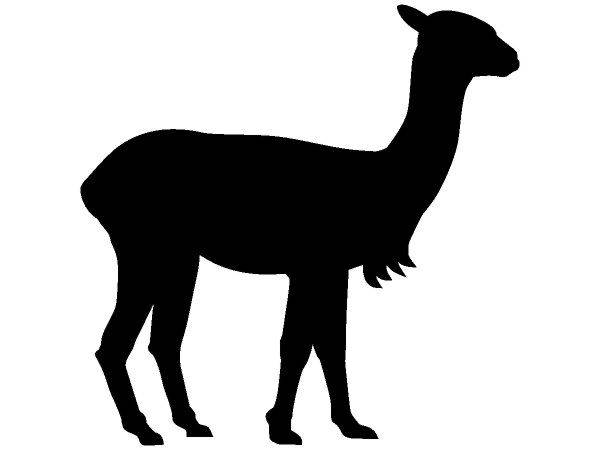 Животные 3619 Животные 3619