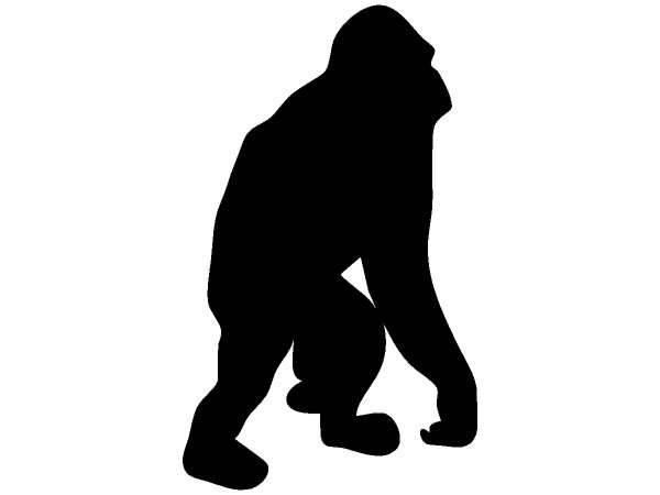 Животные 280