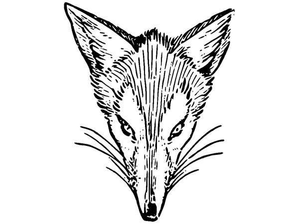 Животные 1286