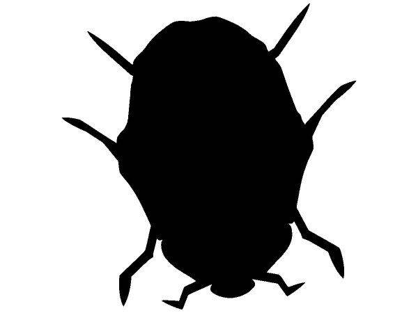 Животные 3046