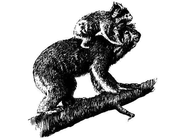 Животные 950