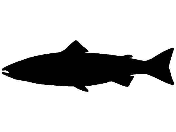 Животные 2827