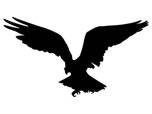 Животные 3317 Животные 3317