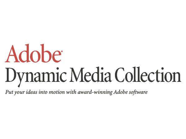 Adobe Dynamic Media Collect