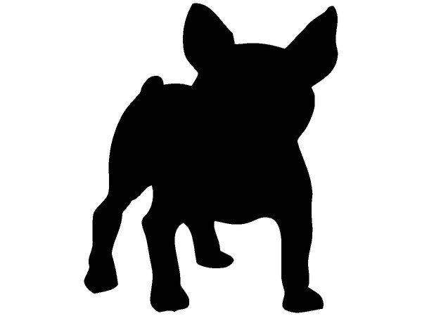 Животные 2666