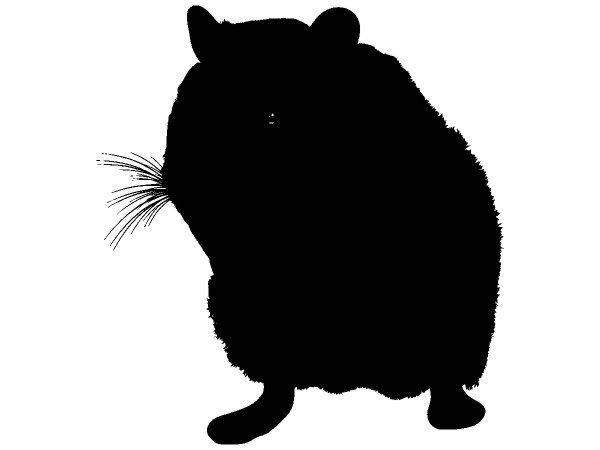 Животные 3099 Животные 3099