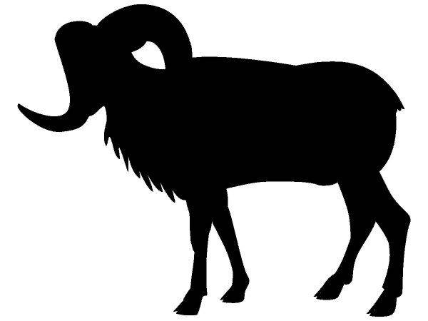 Животные 702