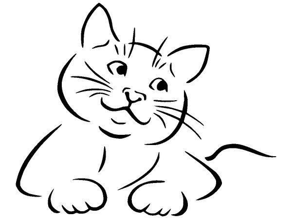 Животные 2531