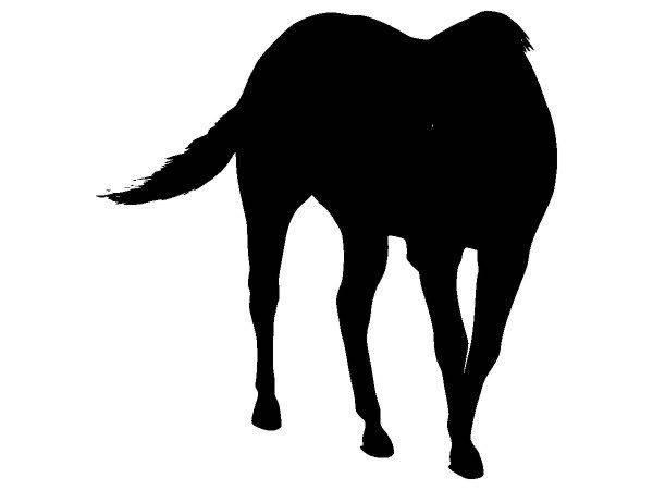 Животные 3518 Животные 3518