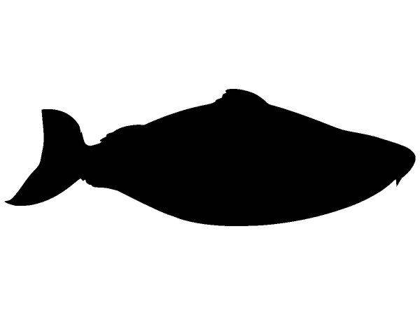 Животные 2078