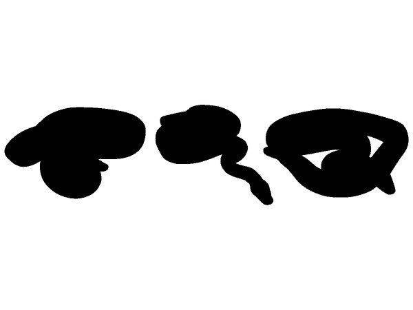 Животные 3235 Животные 3235