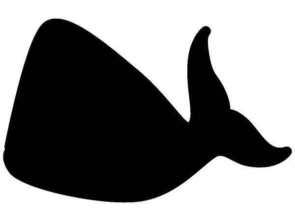 Животные 1739