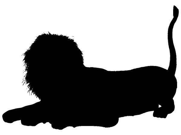 Животные 3359 Животные 3359