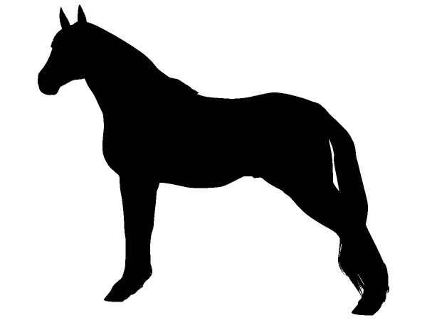 Животные 1202