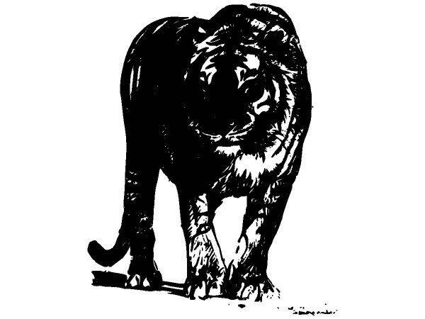 Животные 1433