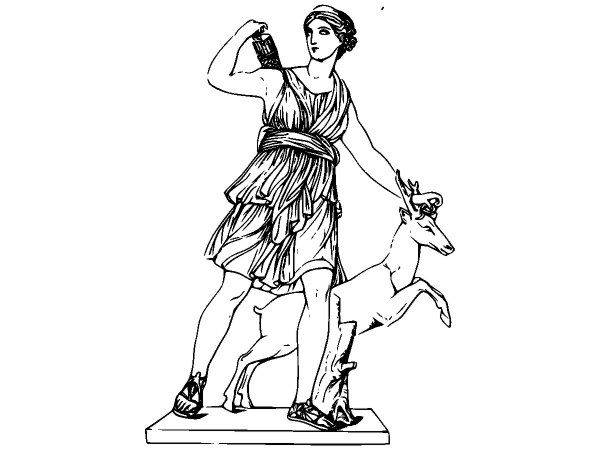 Животные 195