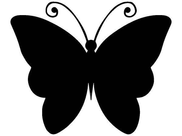 Животные 3016 Животные 3016