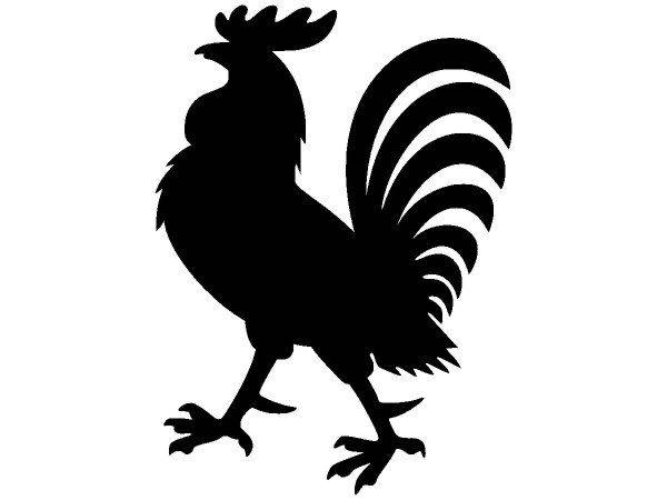 Животные 3465 Животные 3465