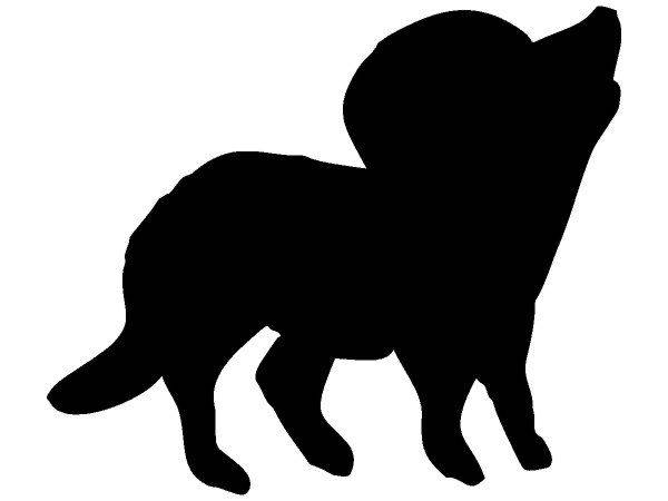 Животные 324