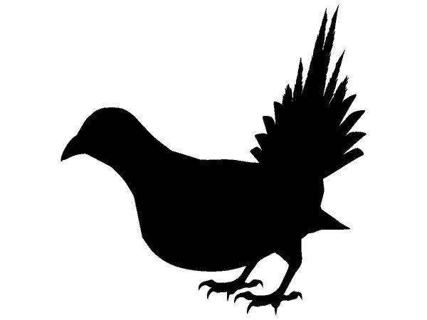 Животные 4027