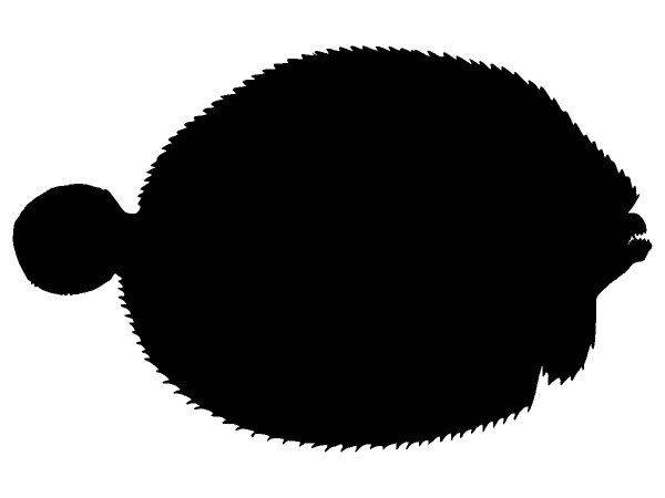 Животные 3274 Животные 3274