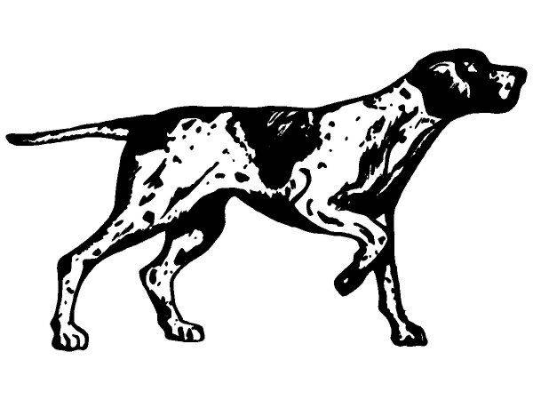 Животные 1083