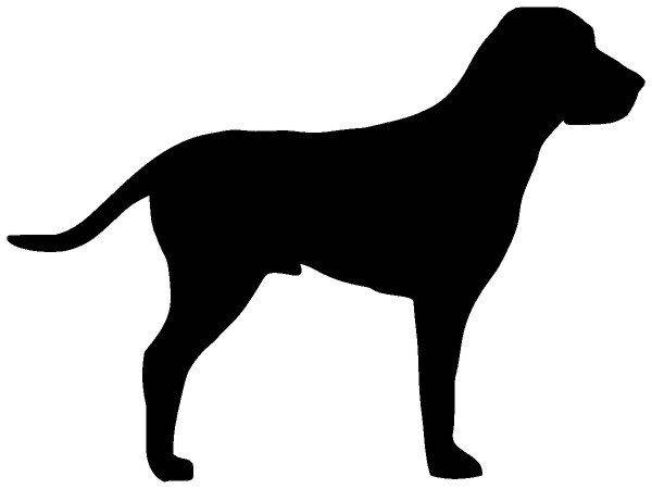 Животные 3121 Животные 3121