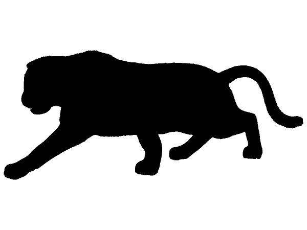 Животные 3355 Животные 3355