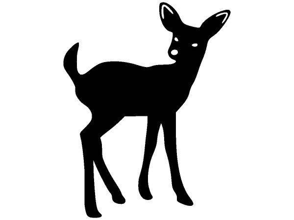 Животные 1706