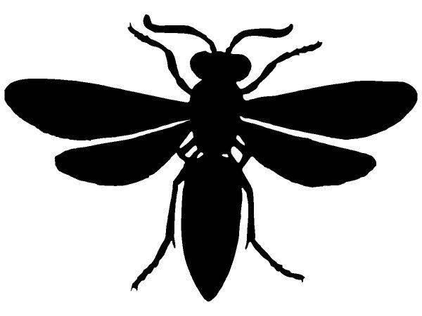 Животные 3812 Животные 3812