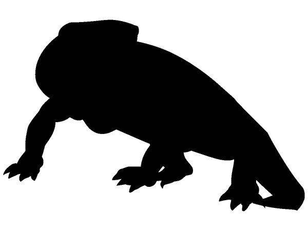 Животные 342