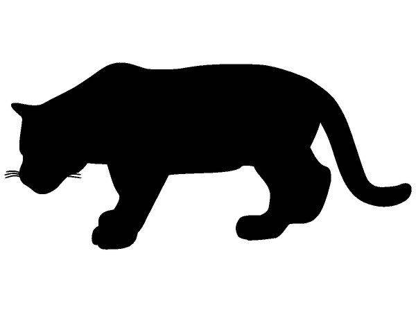 Животные 1313 Животные 1313