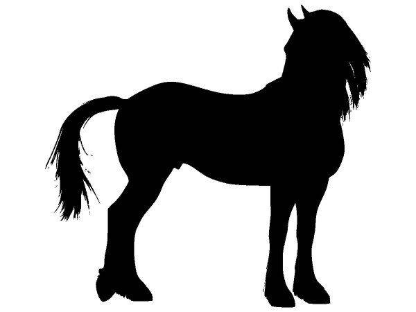 Животные 3517 Животные 3517