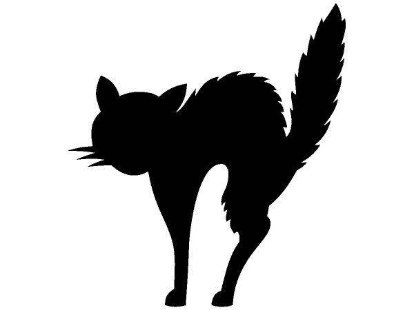 Животные 2898