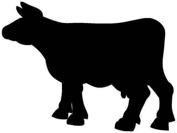 Животные 3612 Животные 3612