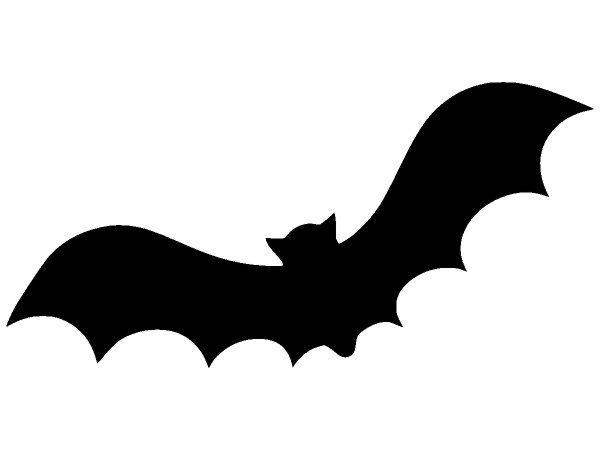 Животные 2527