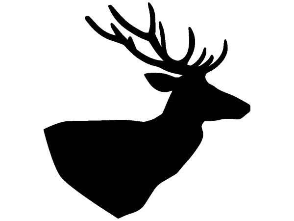 Животные 1144