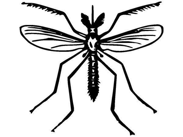 Животные 2850