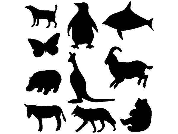 Животные 2709 Животные 2709