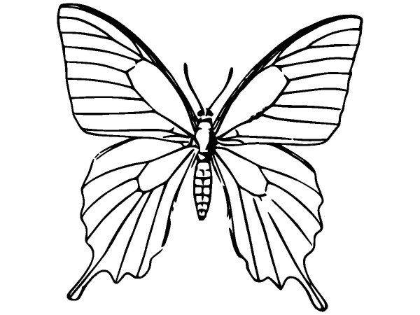 Животные 2474 Животные 2474