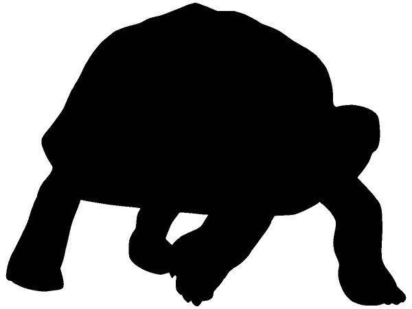 Животные 3233 Животные 3233