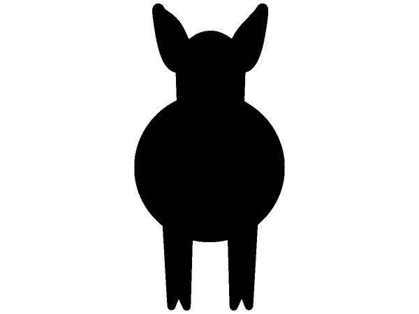 Животные 1670