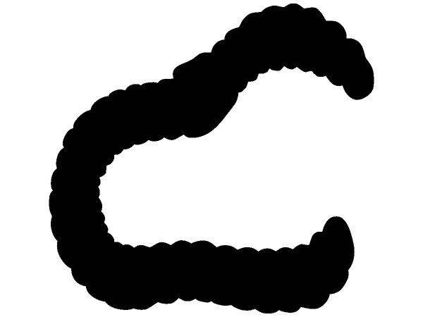 Животные 2470 Животные 2470