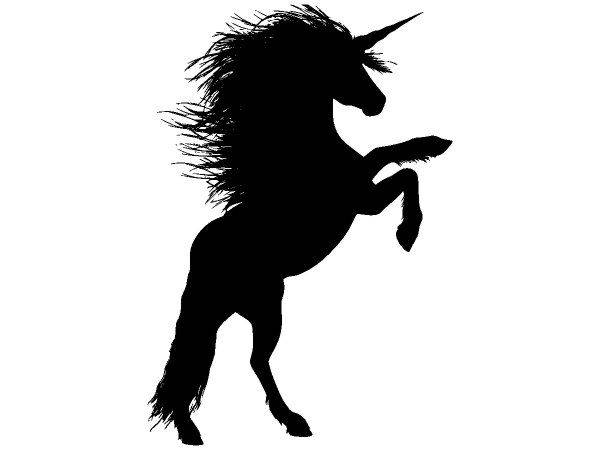 Животные 4020