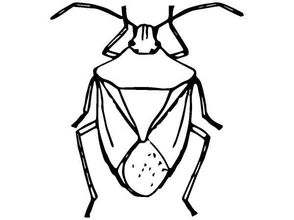 Животные 851